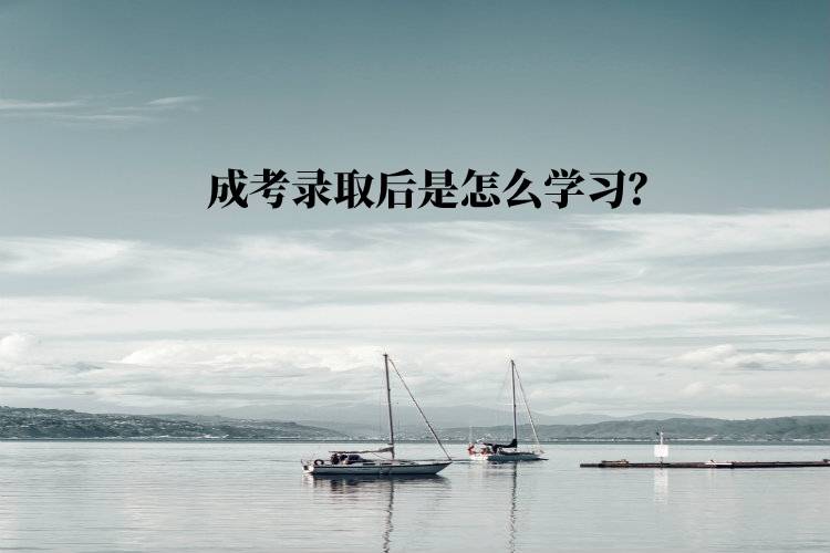 成考录取后是怎么学习？