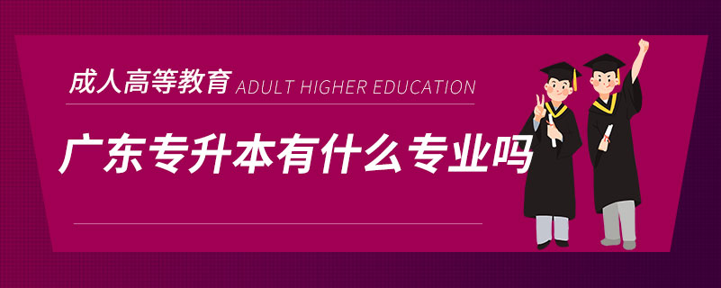 广东专升本有什么专业吗