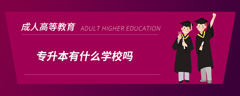 专升本有什么学校吗