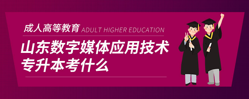 山东数字媒体应用技术专升本考什么