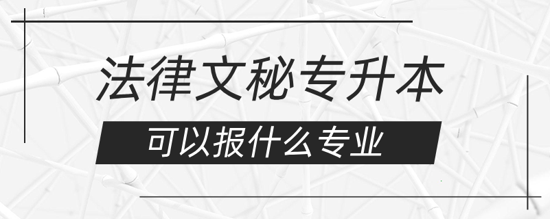 法律文秘专升本可以报什么专业