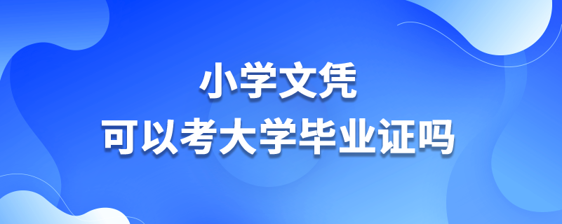 小学文凭可以考大学毕业证吗