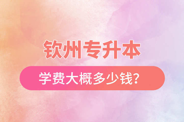 钦州专升本学费大概多少钱？