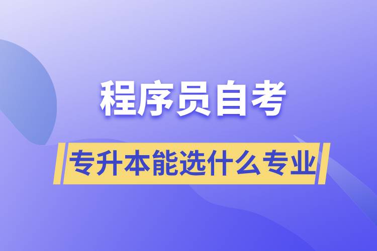 程序员自考专升本能选什么专业