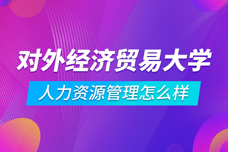 对外经济贸易大学人力资源管理专业怎么样