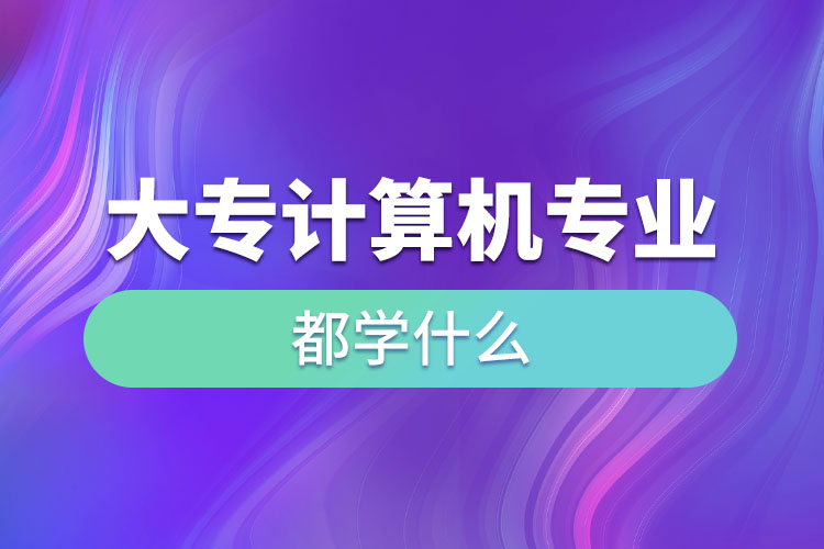 大专计算机专业都学什么