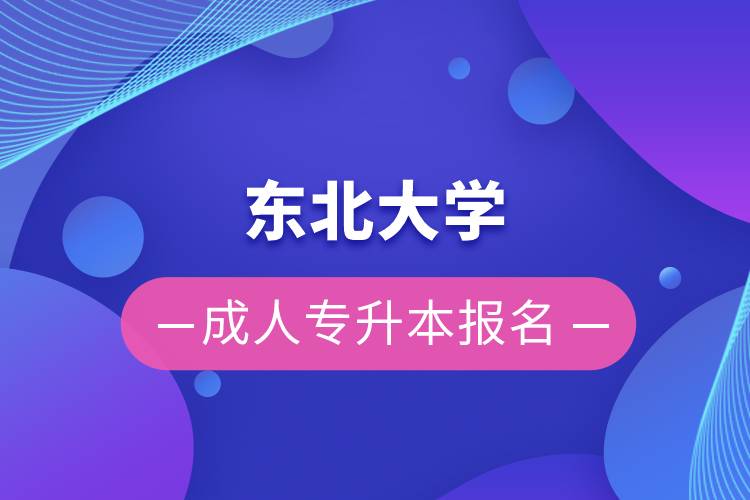 东北大学成人专升本报名