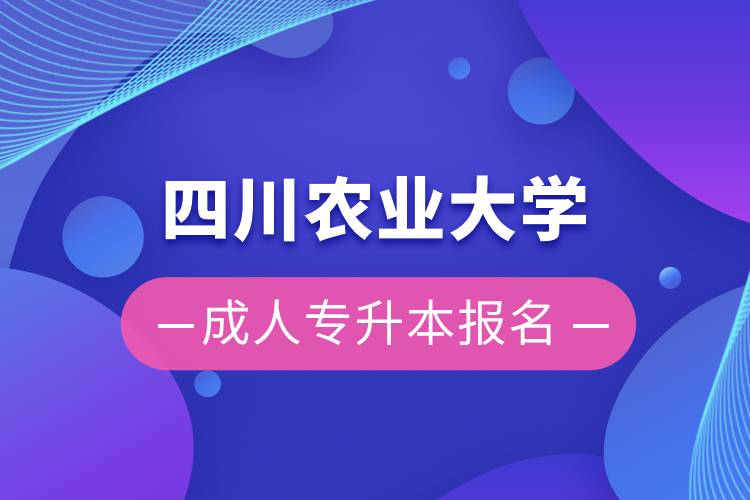 四川农业大学成人专升本报名