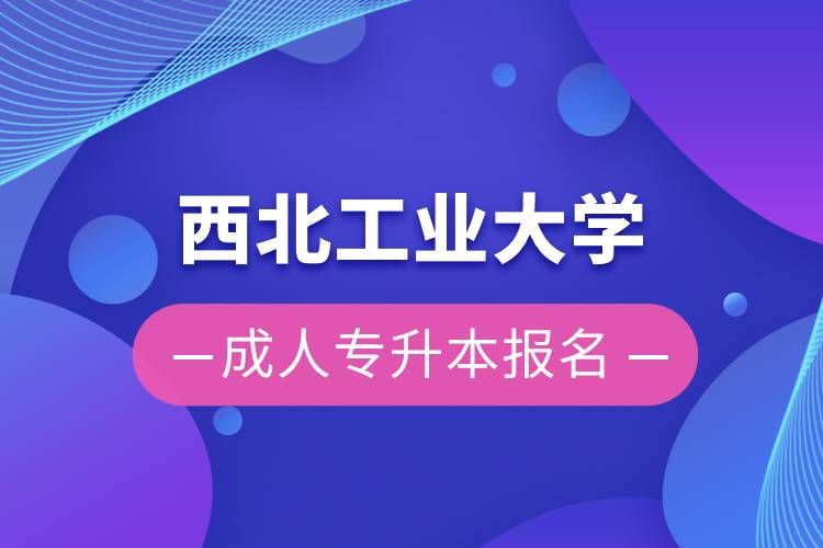 西北工业大学成人专升本报名