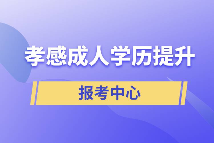 孝感有成人学历提升报考中心吗