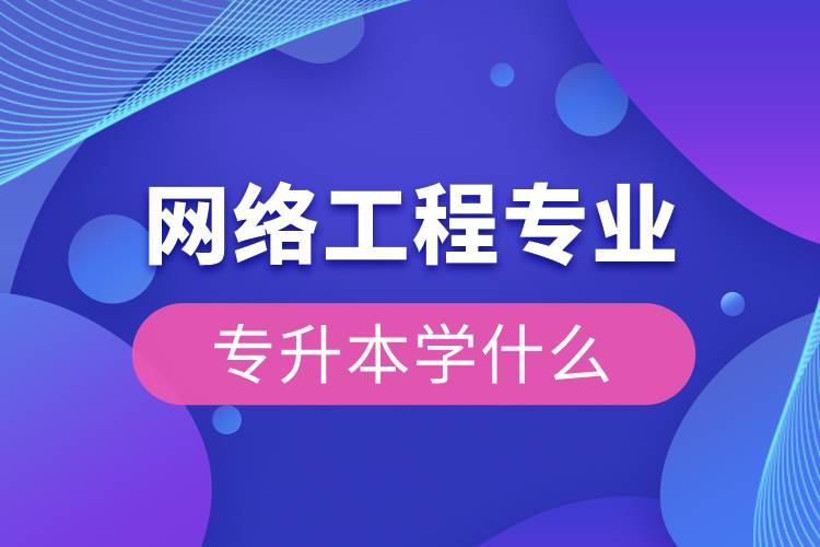 网络工程专业专升本学什么