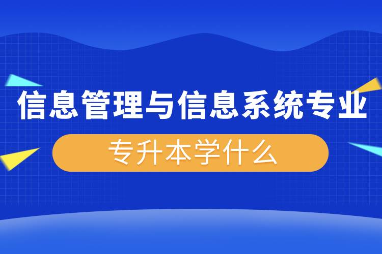 信息管理与信息系统专业专升本学什么