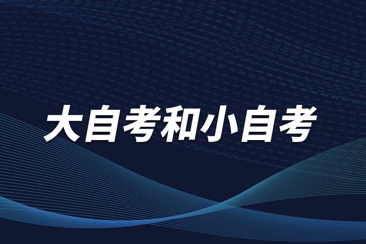 大自考和小自考是什么意思？有什么区别？