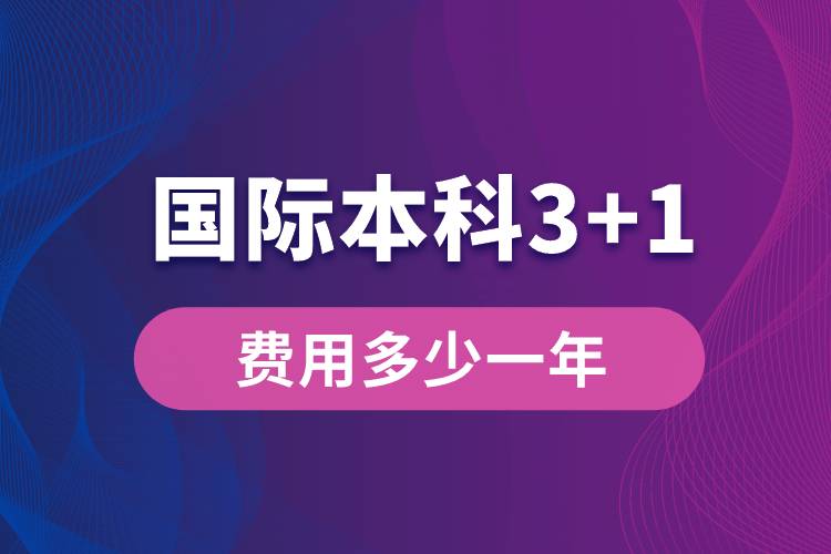 国际本科3+1费用多少一年