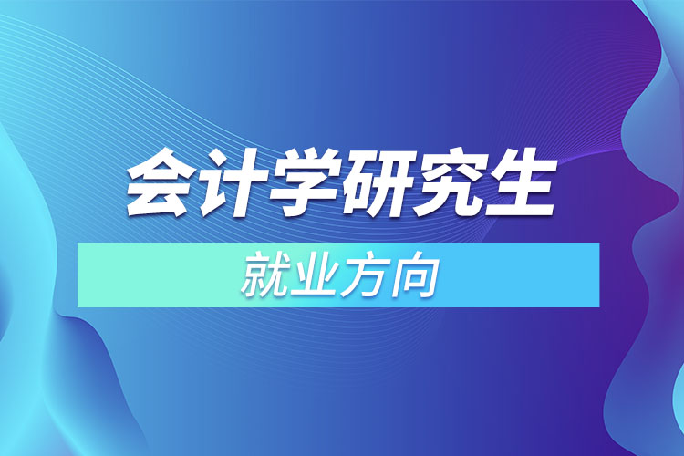 会计学研究生就业方向