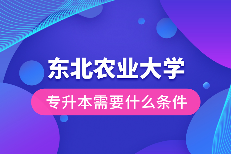 东北农业大学专升本需要什么条件？