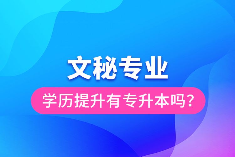 文秘专业学历提升有专升本吗？