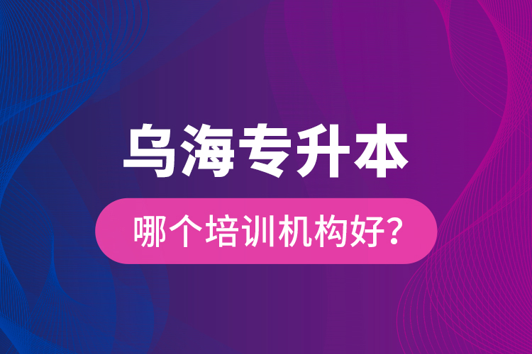 乌海专升本哪个培训机构好？