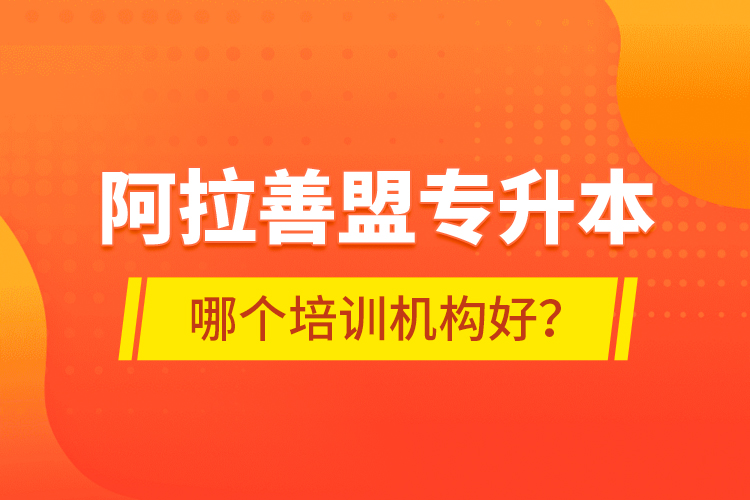 阿拉善盟专升本哪个培训机构好？