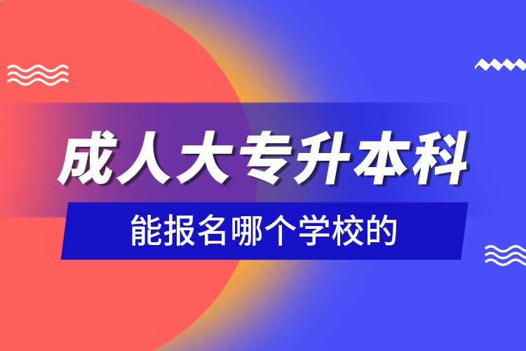 成人大专升本科能报名哪个学校的