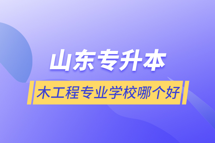 山东专升本土木工程专业学校哪个好