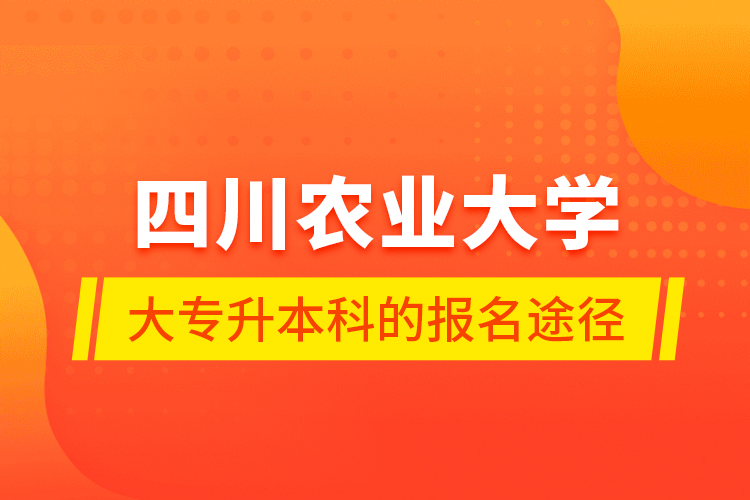 四川农业大学大专升本科的报名途径