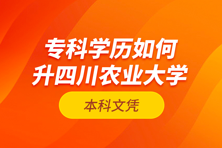 专科学历如何升四川农业大学本科文凭