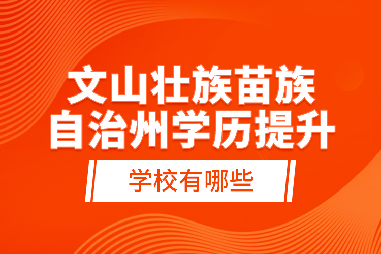 文山壮族苗族自治州学历提升学校有哪些？