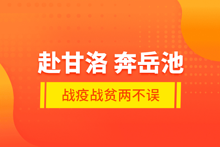 赴甘洛 奔岳池 战疫战贫两不误