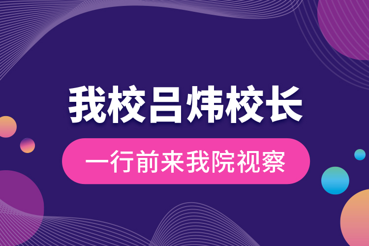 我校吕炜校长一行前来我院视察